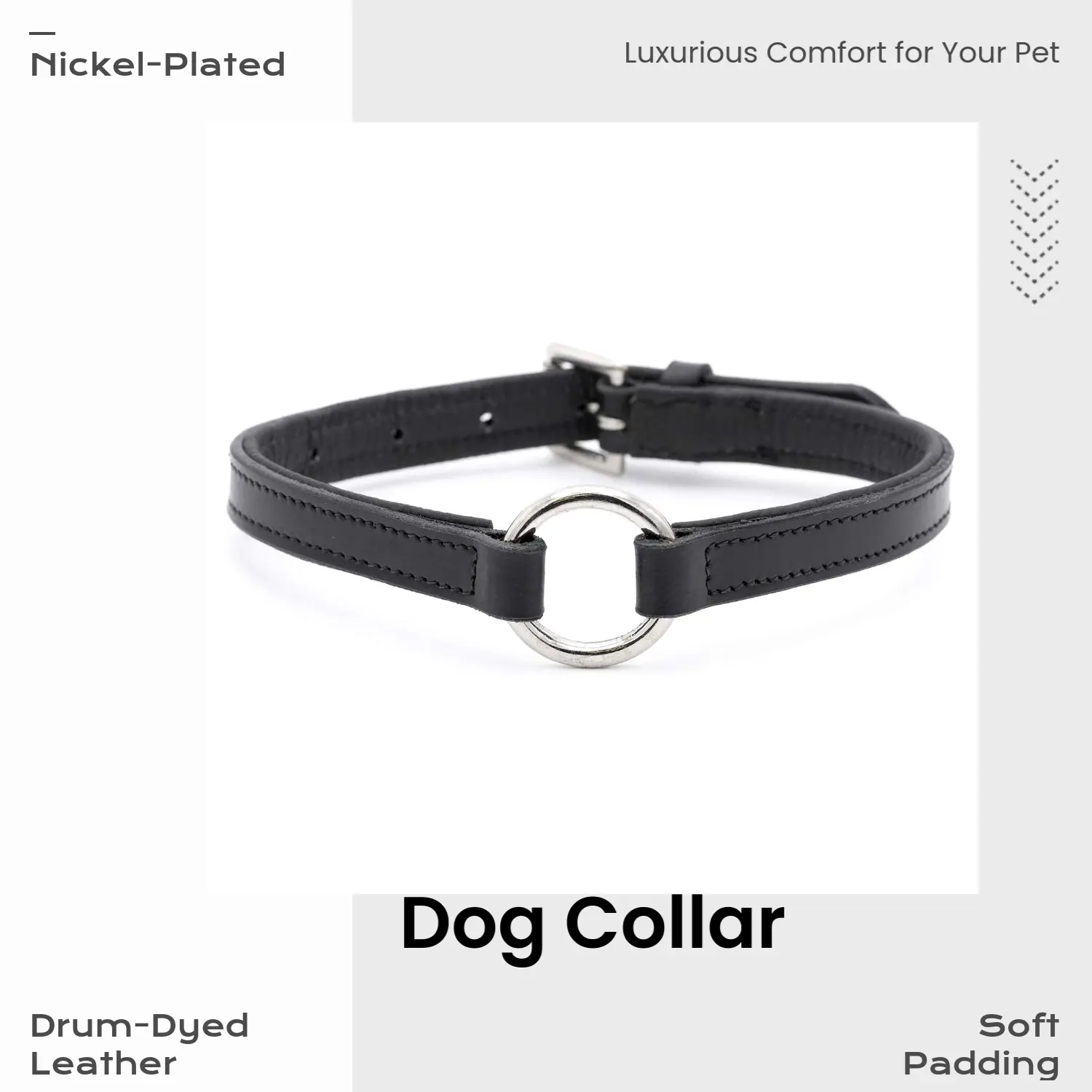 US-Made Jeffers Basic Dog Collar - Drum-Dyed Cowhide Leather, Padded, Black, Nickel Hardware, O-Ring, Classic Craftsmanship, Hand-Finished Edges, for Everyday Use & Long Walks