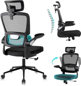 Flysky Home Office Furniture- Ergonomic High Back Breathable Mesh, Adjustable Flip-Up Armrests, and Lumbar Support for Home & Office (Black)