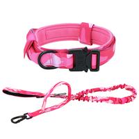 Collar and Leash