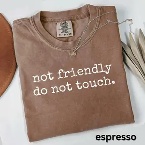 Comfort Colors Not Friendly T-Shirt, Do Not Touch Shirt, Introvert Tee, Sarcastic Gift, Funny Quote Shirt, Antisocial TShirt, Trendy Tee