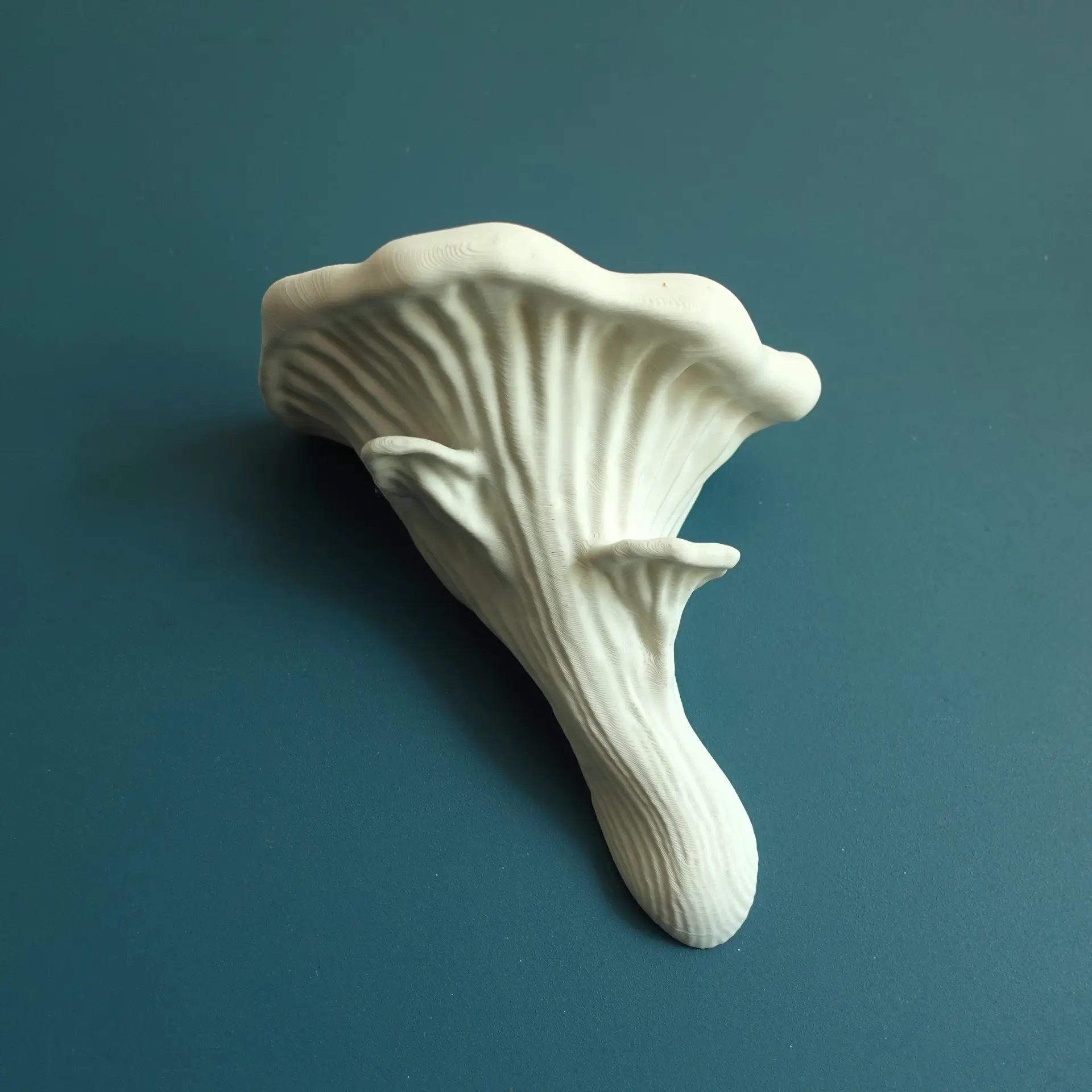 Oyster Fungus Mushroom Shelf designed by Gazzaladra with Cottagecore/Fairycore aesthetic Decor Shelves Decorative Nature Decorative