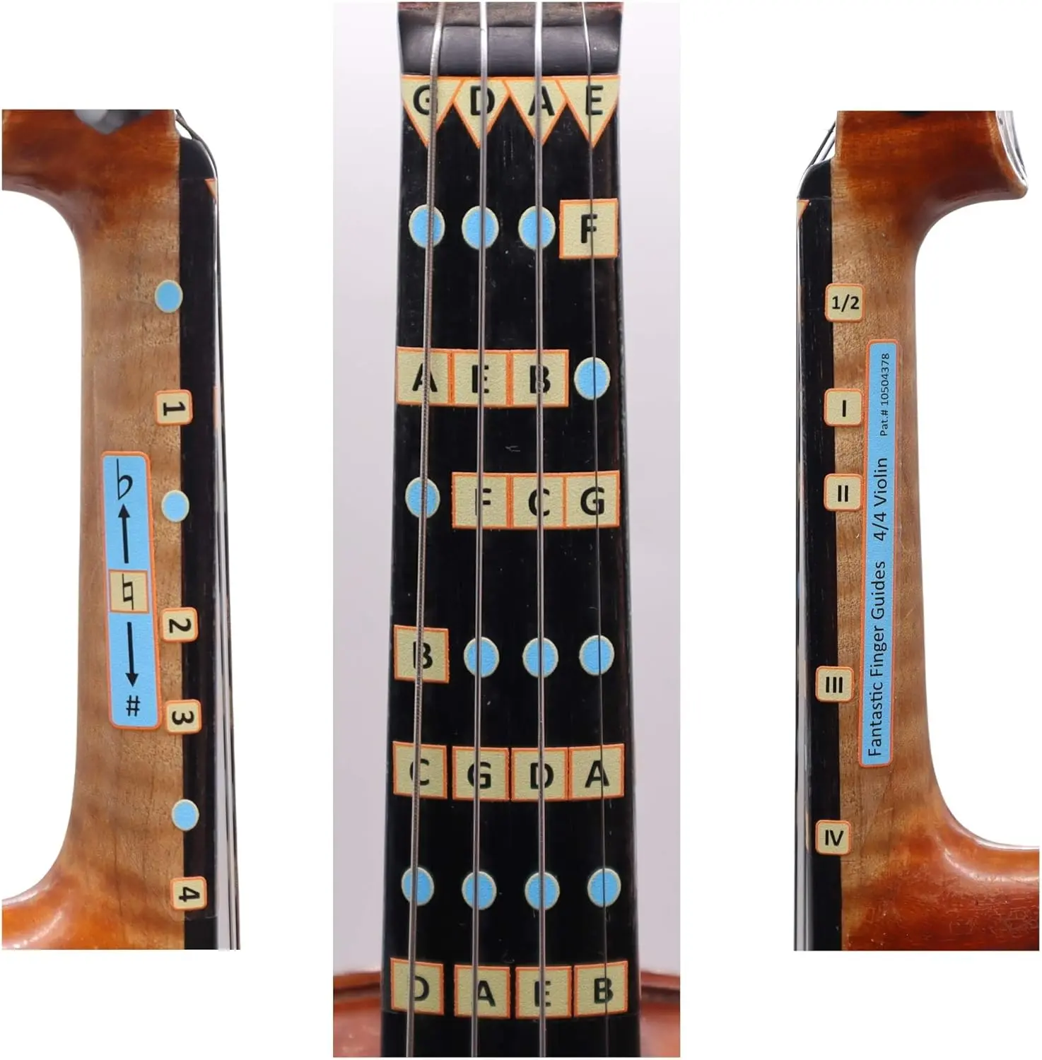 Fantastic Finger Guide for Violins /Adult Beginner | Stringed Musical Instruments | Fingerboard and Fretboard Stickers for Learning All s | Play or Fiddle (1/4)