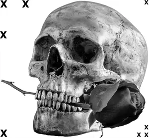 Human skull with red rose- Airbrush Stencil