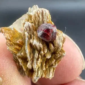 Natural Garnet Crystal Thumbnail Lot – 8 Pieces | 20–27mm | 4g–24g Each
