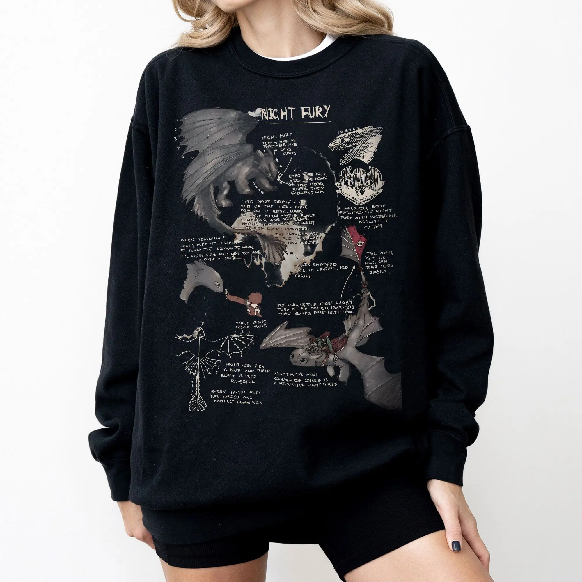 Toothless Night Fury Shirt, Dragon Trainer T Shirt, How To Train Dragon Movie Inspired Tee, Gift For Dragon Lovers graphic hoodie sweatshirts