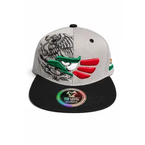 Top Level Mexico Snapback Hat