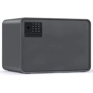 Biometric Safe for , 0.6 Cube  Auto-Open Fingerprint Safe with  Screen,  System & Removable Shelf, Small  Box for , , Documents,  Office Use, Black