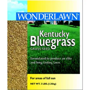 Barenbrug 1 lbs Kentucky Bluegrass Seed Barenbrug 1 lbs Kentucky Bluegrass Seed