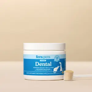 Dental Support