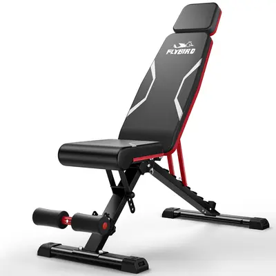 Flybird Bench TikTok Shop - Main Image