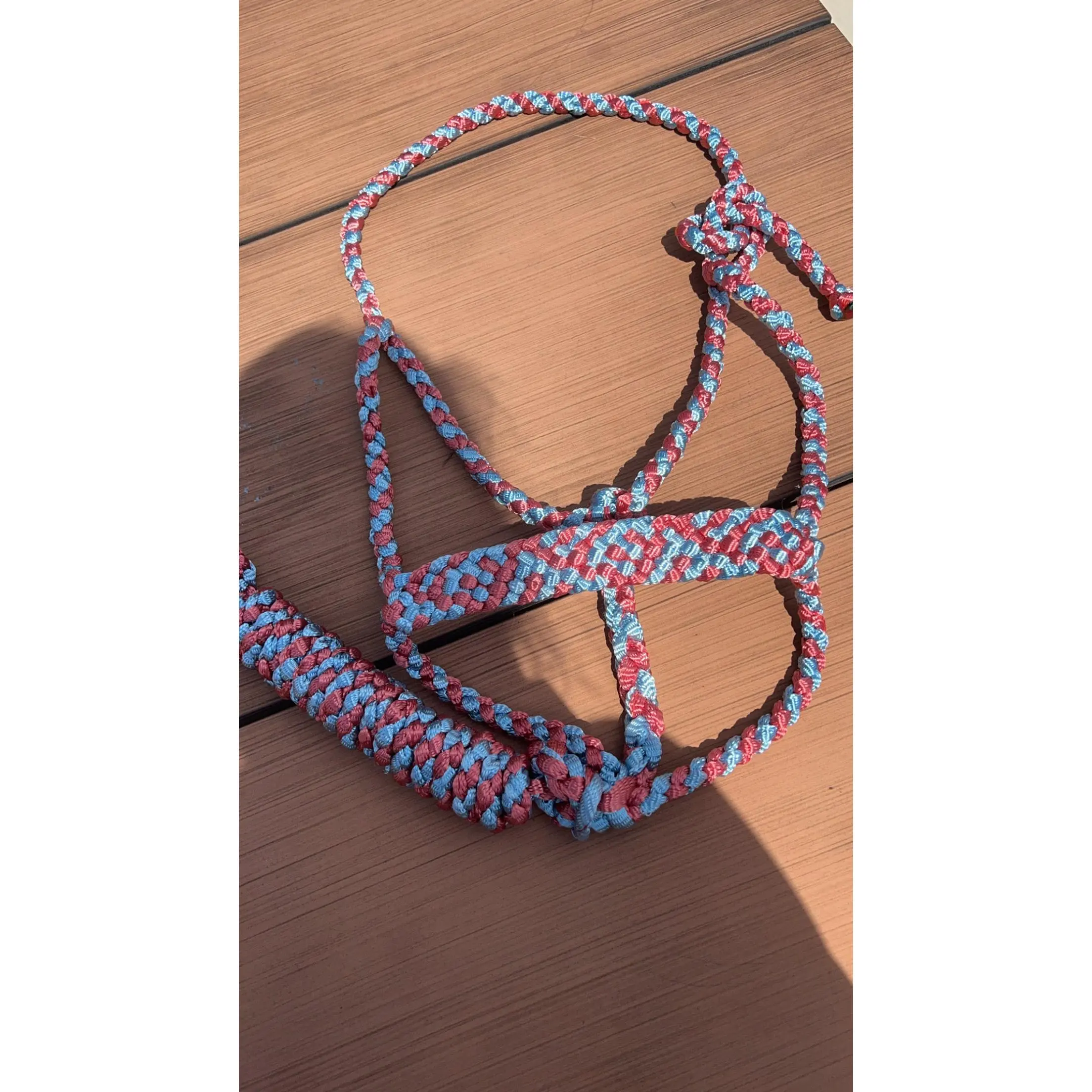 *Two Color Mule Tape Halter + Lead