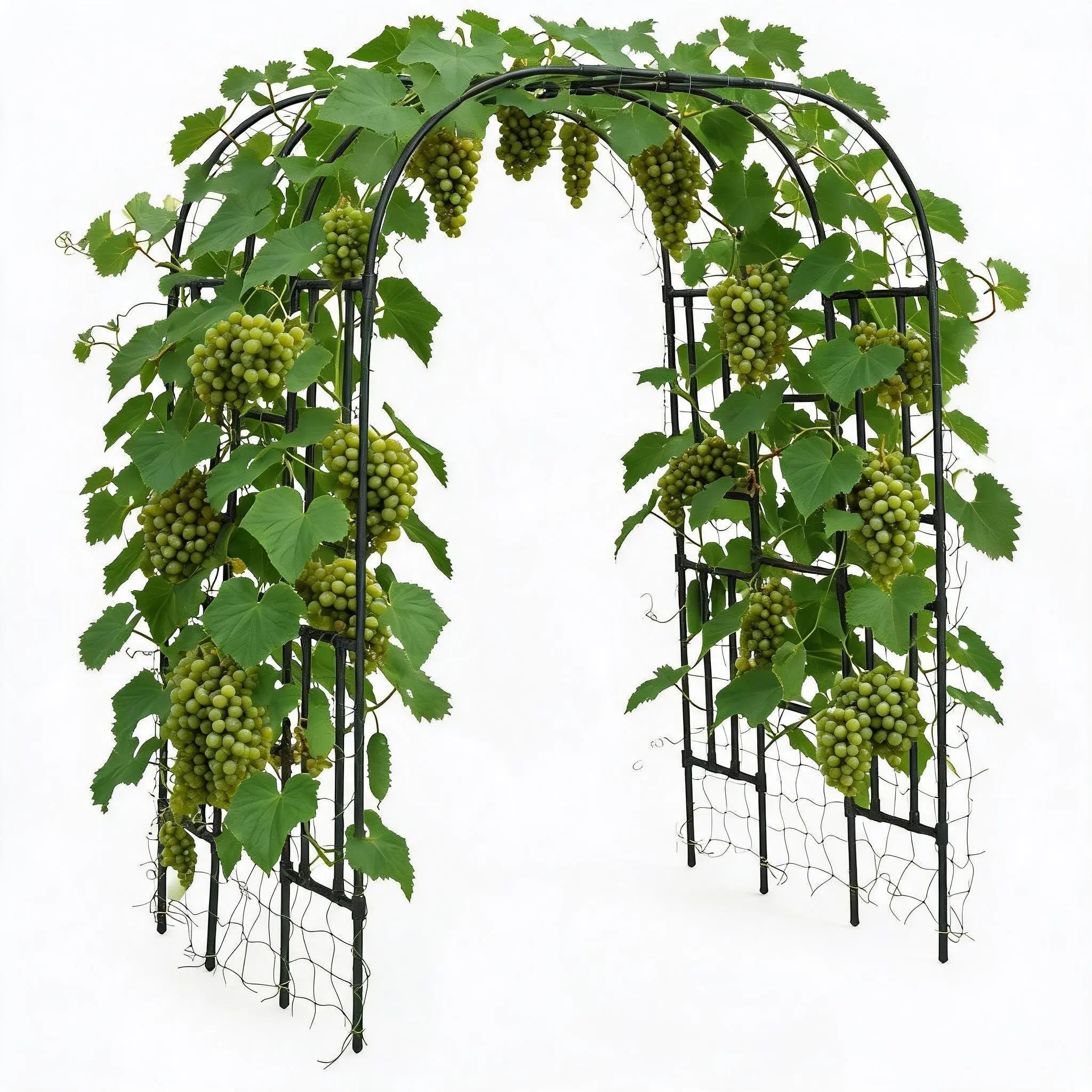 Grape and Cucumber Trellis,Outdoor Garden Arch Trellis for Climbing Plants,Large Grape Vine Trellis Pergola for Peas,Flowers and Melons,86" Hx63 Lx47 w,Nice for Yard and Patio