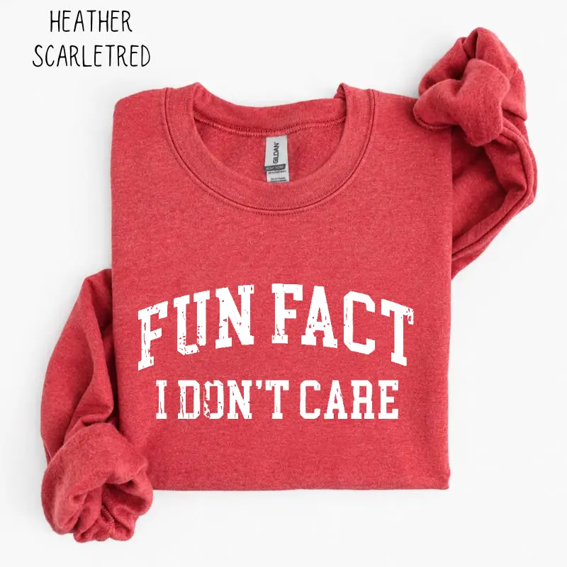 Fun Fact I Don't Care Sweatshirt, Funny Sarcastic Graphic Crewneck, College Humor Pullover, Cozy Gift