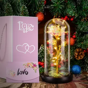 Glass Light Up Rose,Preserved Forever Valentines Day Flower Gifts for Her,Valentines Mothers Day Christmas Birthday Womens Gift (Colorful)
