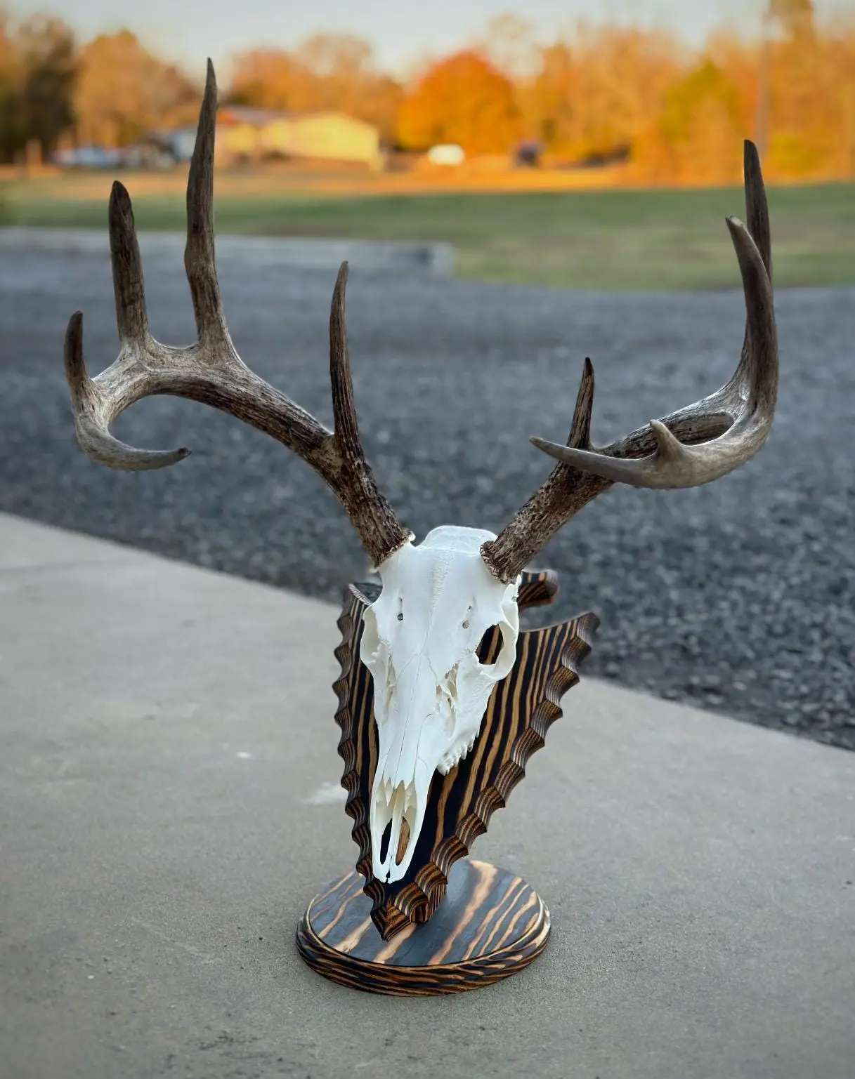 Oval Arrowhead Tabletop Pedestal