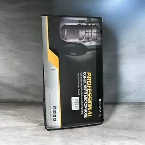 Professional Condenser Microphone for High-Quality Sound Recording and Broadcasting