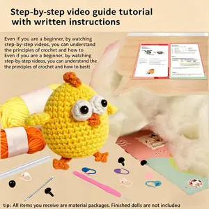 Chicken Shape Crochet Kit for Beginners, DIY Knitting Material Set with Tutorial Video, Random Accessory Colors, Perfect for Craft Enthusiasts