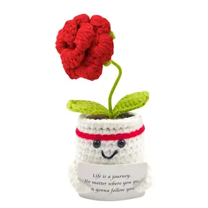 Handmade Heart Tulip Carnation Plant Pot, Creative Knitted Gift for Friends Girlfriend Teacher, Car Decoration, Casual Style