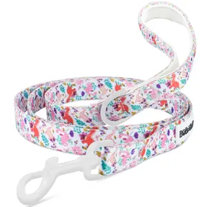Dinosaur Printed Small Dog Leash