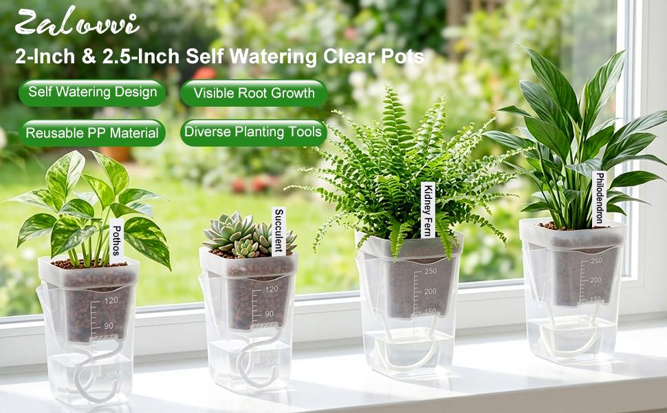 8 Pack 2" Mini Self Watering Pots for Indoor Plants,Small Clear Plastic Planters,Alocasia Corm Propagation,African Violet,Cutting,Seeding,Water Level Indicator,Drainage Hole,8 Plant Label outdoorfun
