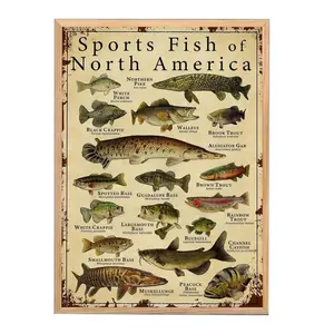 North America Fish Species Poster, Vintage Sports Fish Identification Chart for Anglers, Cabin Decor & Lake House, Detailed Illustrations of Popular Game Fish