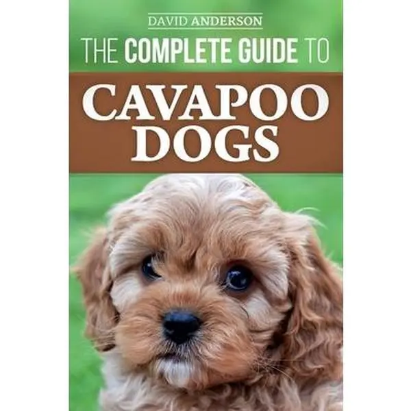 USED Book - The Complete Guide to Cavapoo Dogs: Everything you need to know to successfully raise and train your new Cavapoo puppy by Anderson, David (Paperback) - english
