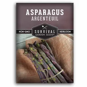 Argenteuil Purple Asparagus Seeds - Perennial French Asparagus