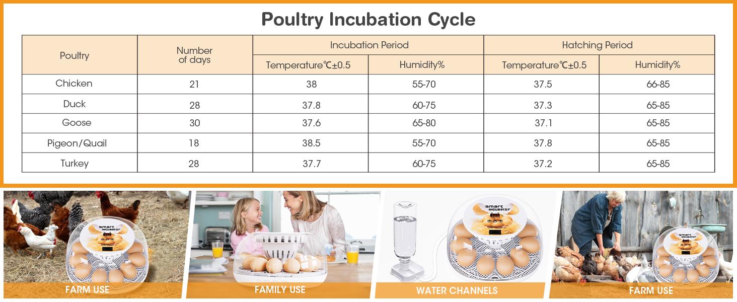 12 Egg Incubator with Automatic Turning and Temperature Control, Automatic Water Adding, LED Egg Candler, for Hatching Chickens, Duck, Quail, Goose Eggs