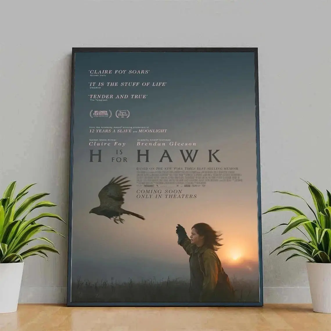 H Is for Hawk 2025 Movie Poster, Home Decor Wall Art Print for Living Room Bedroom