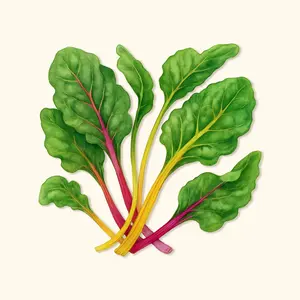 Vego Garden  Organic Rainbow Swiss Chard Seeds