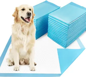 Disposable Dog Pee Pads  Puppy Potty Training, Indoor/Outdoor Pet Pads with Odor Control, Ideal for Dogs & Puppies