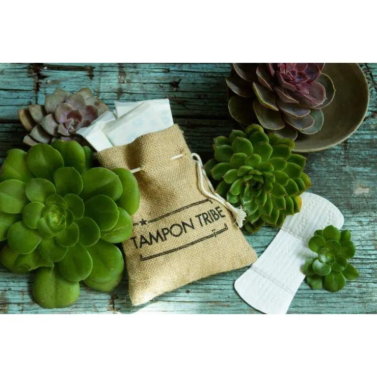 24 Pack Organic Cotton Pantyliners – Barely-There, Hypoallergenic, Plastic-Free