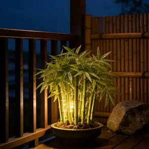 Lucky Bamboo Cypress Seed -LiveIndoor Houseplants for Home Decor,Bamboo Plant, indoor Low LightPlants, Feng Shui Lots Of Green Leaves