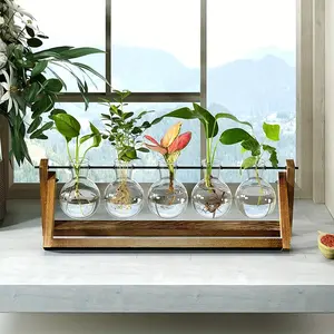 5 Bulb Vase Plant Glass Container with Wooden Frame, Indoor Living Hydroponic Plant Office Garden Planter, Home Decor Supplies, Home Decorative Vase