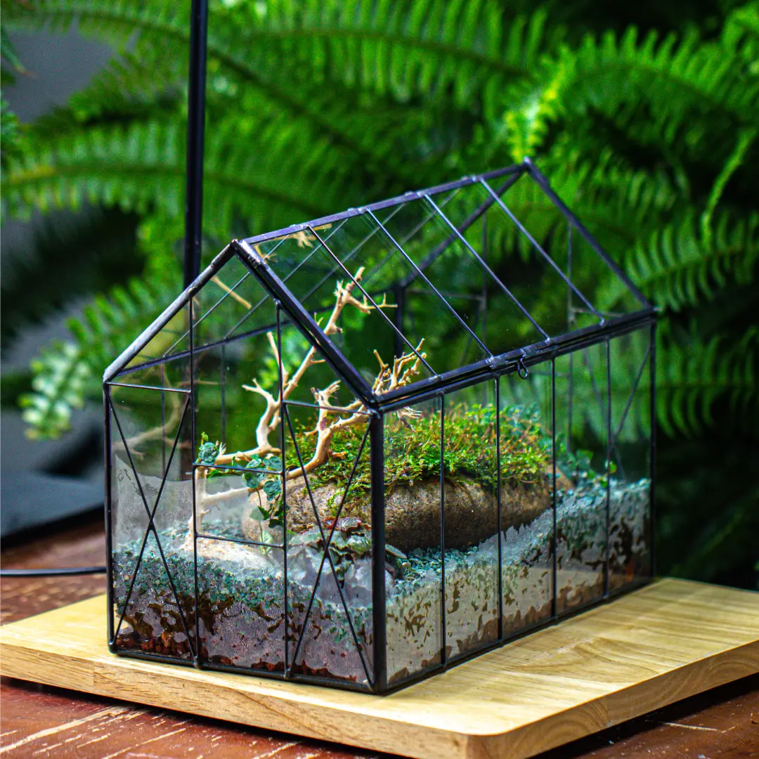 NCYP Glass Terrarium with Lid for Moss, Fern, Small Tropical Plants - Clear Closed House Shape Vintage Small Greenhouse, 9.4" x 5.5" x 7.3" (No Plants)