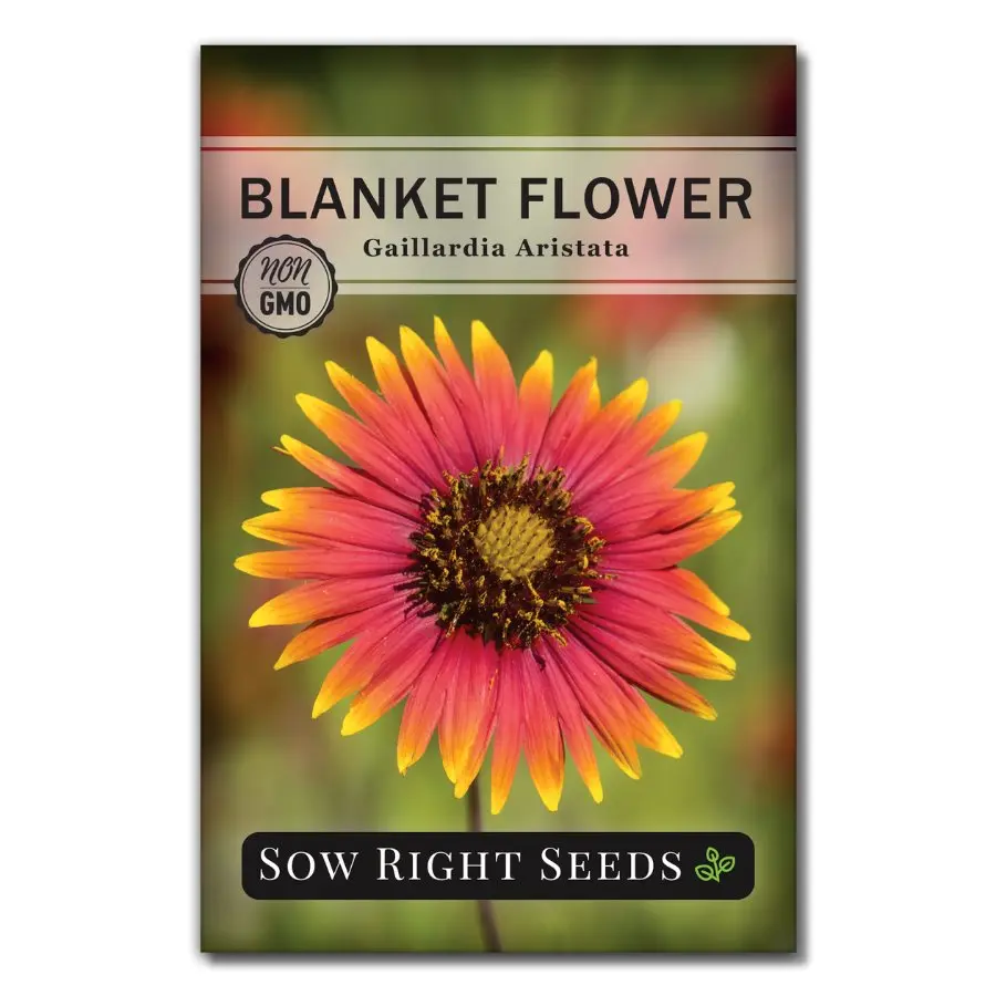 Blanket Flower