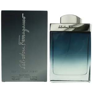 Men's Subtil by Salvatore Ferragamo 3.4 oz EDT Spray - Notes of Laurel, Amber, Citrus, Ginger, Musk