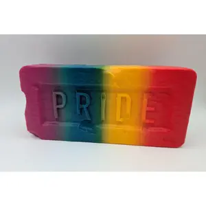Pride Brick - Rainbow