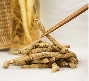 American Ginseng - 1 Pound Bag