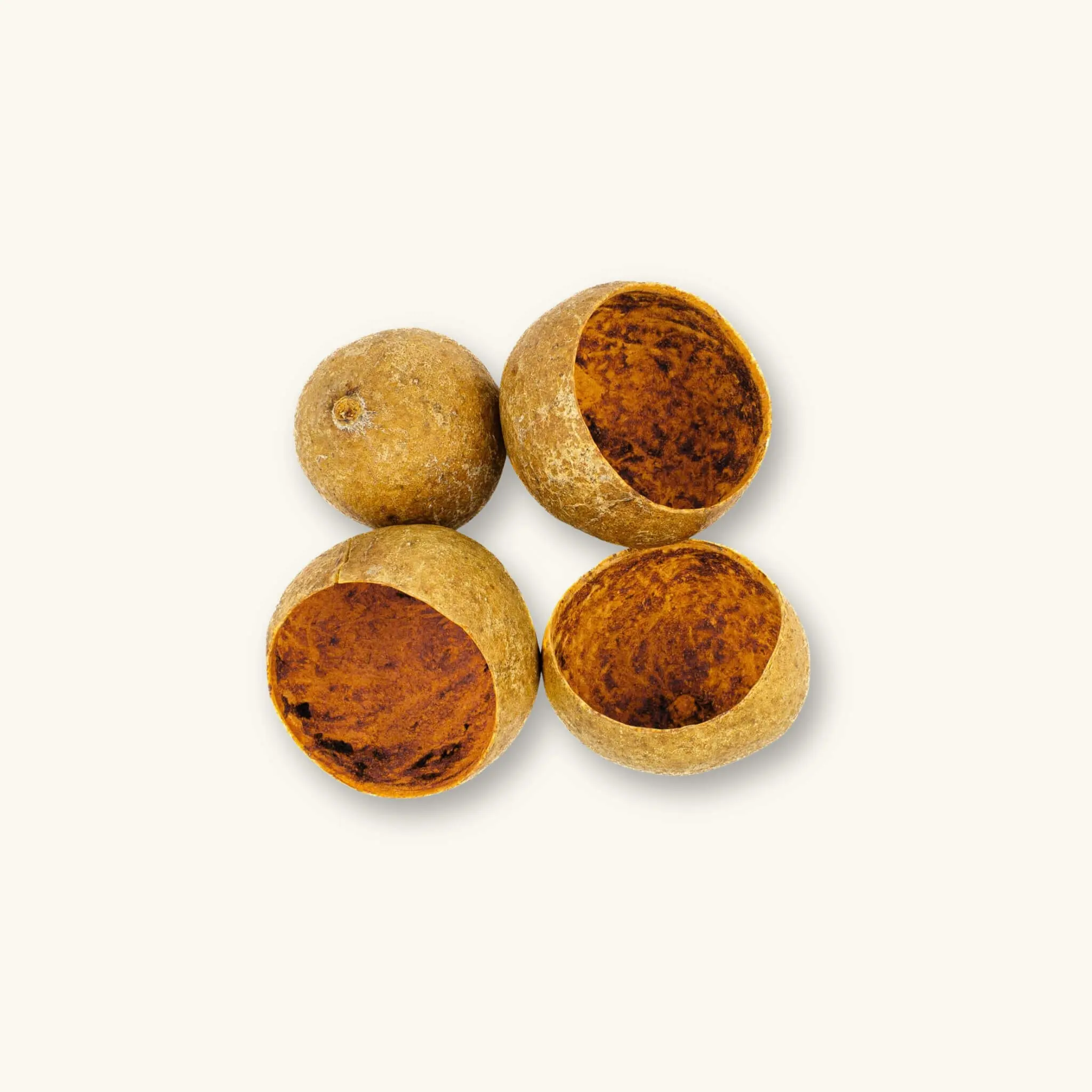 Natural Bael Tree Pods (1c/4c) by Betta Botanicals for Betta Tanks & Blackwater Aquariums