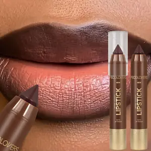 1PC 2-in-1 Lip Liner and Lipstick, Matte Lip Pencil, Matte Finish, Precise Tip, Easy To Apply, Brown Tone, Lip Contour, Suitable for Autumn and Winter Makeup