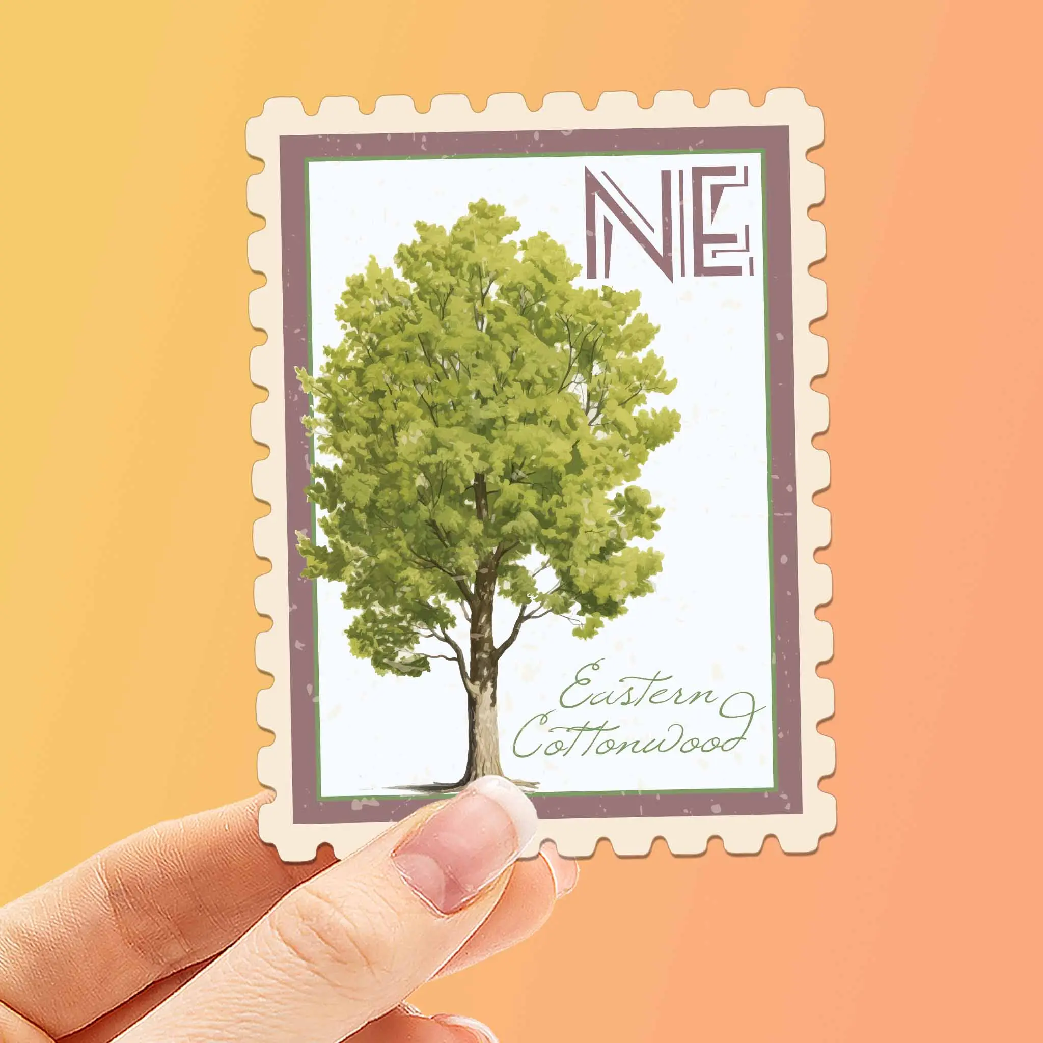 Nebraska State Tree Eastern Cottonwood Sticker - NE Vintage Stamp Decal