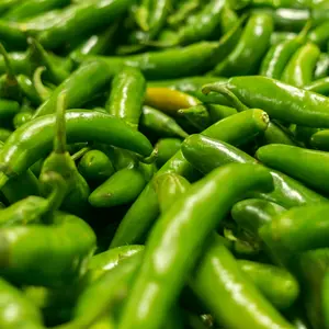 25 Serrano Pepper Seeds - High-Quality Seeds for Growing Serrano Peppers in Pots