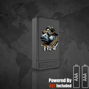 High Precision Electronic Jewelry Scale, Portable Pocket Scale for Gold, Gemstones, Powder, Tea, Food, Coins, Collectibles