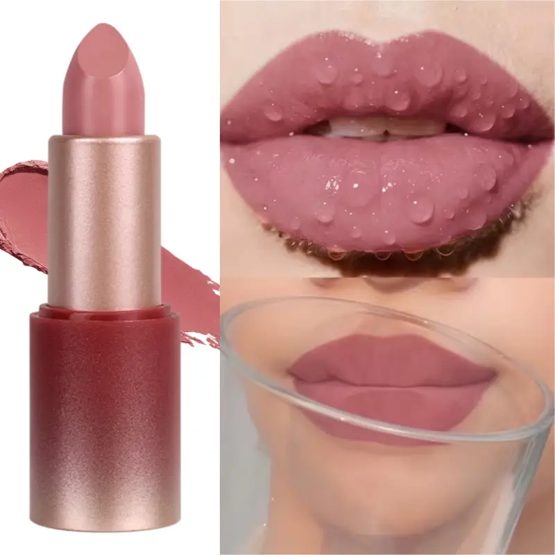 1PC [Matte Lipstick, Nude Natural] Waterproof & Sweatproof Matte Lipstick - Nude Natural, Luxurious Long Lasting, Daily Makeup, Perfect Gift for Female Friends