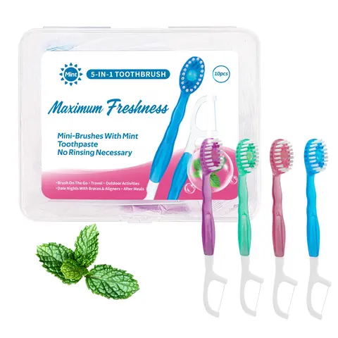 Portable 5 in 1 Mini Toothbrush Set, 10pcs/box Refreshing Toothbrush with Storage Box, Oral Care Tool for Home & Travel, Toothbrush Kit, Pre Pasted Toothbrush, Travel Toothbrushes