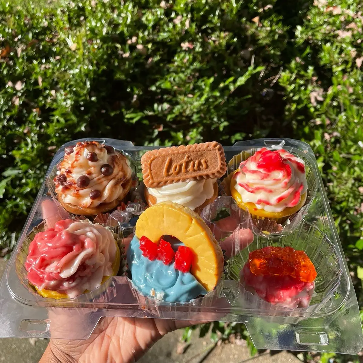 2 Waxmelt Cupcake