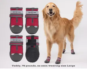Teddy's Tennies - All Season Protective Dog Shoes