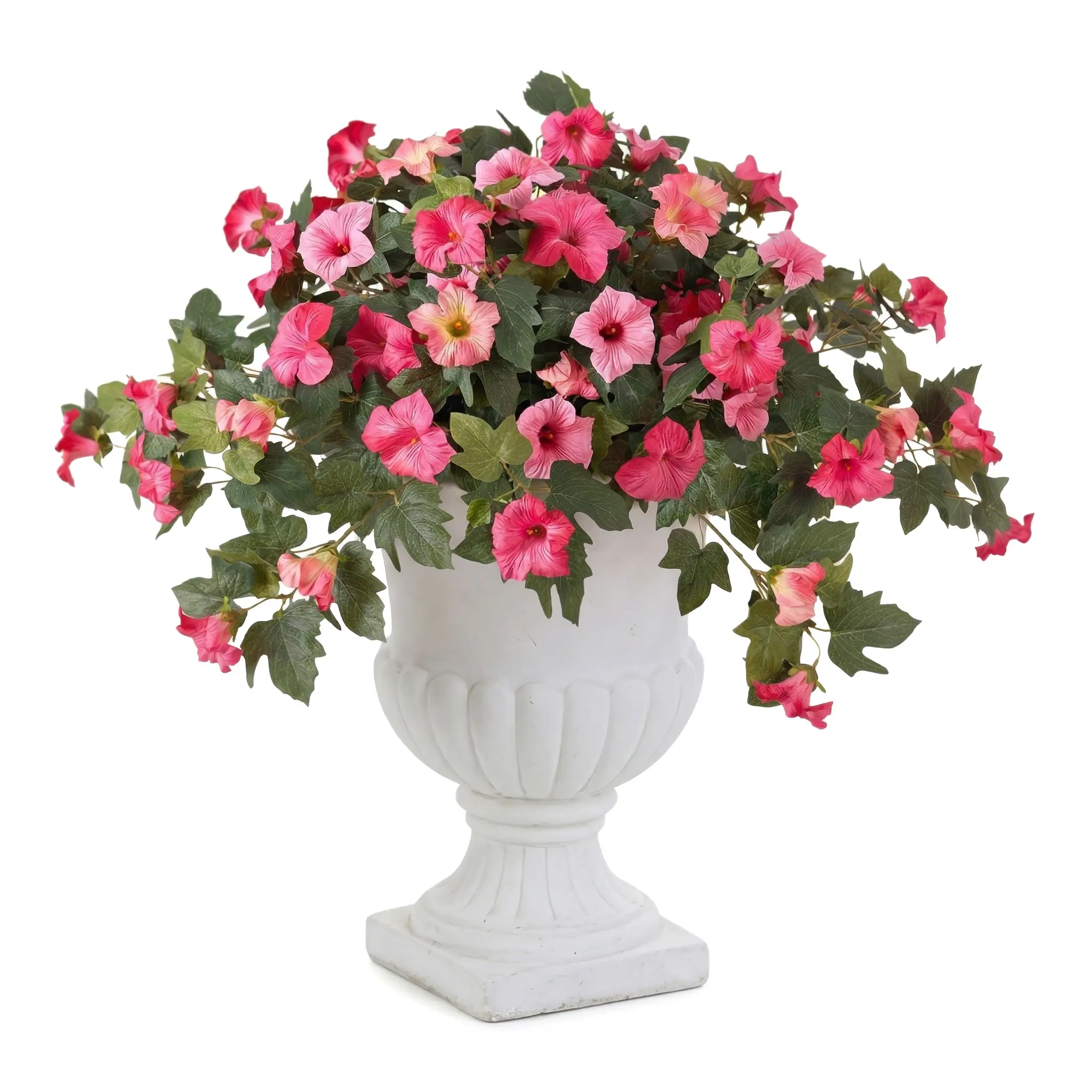 Fuchsia Lotus (Excluding flowerpots)