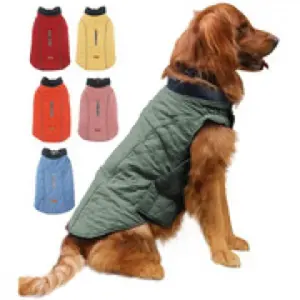 Dog Winter Coat Outfits